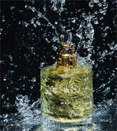 جستجو عطر بر اساس طبع